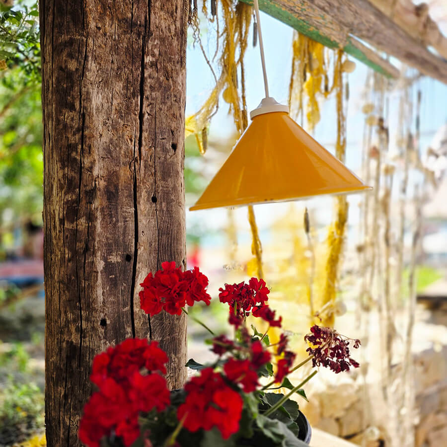 Hidden Beauty - Layout by Evy