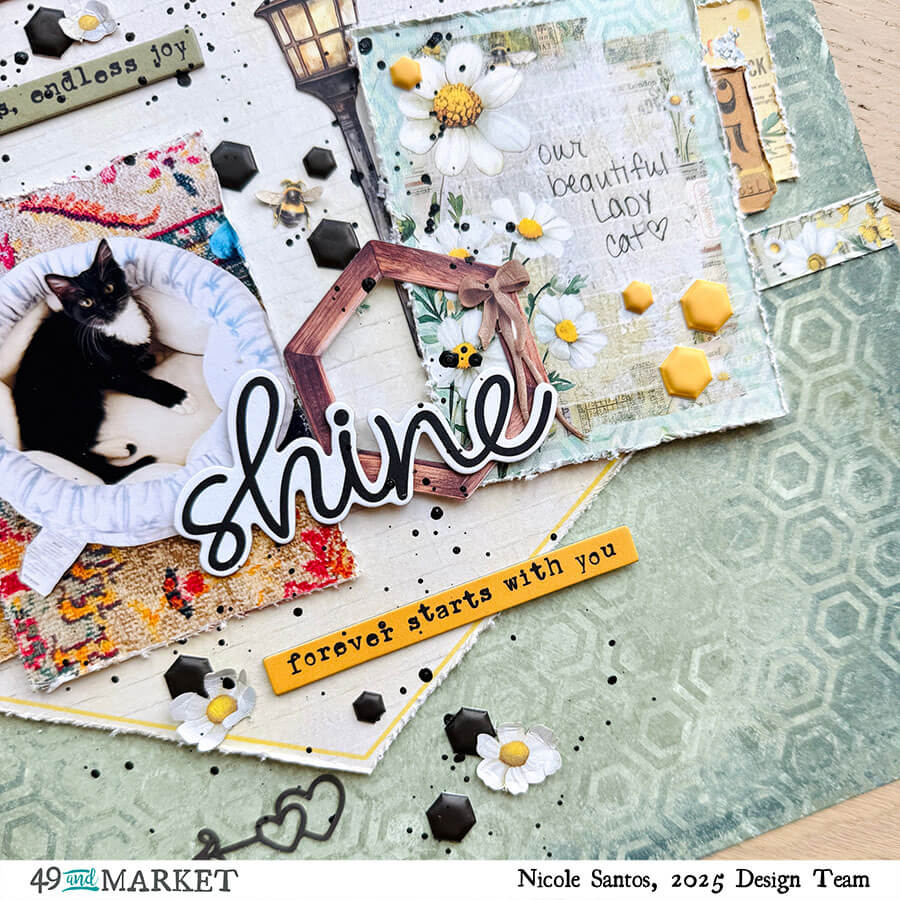 Shine - Layout by Nicole